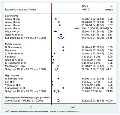 A systematic review and meta-analysis of the globally reported International Classification of Diseases to Perinatal Mortality (ICD-PM)